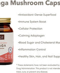 Stay Wyld Organics Chaga Mushroom Vegan Capsule Supplement - Immune System & Inflammation Support, Anti-Aging, Hair Growth, Cardiovascular Health, Antioxidant-Dense Superfood - Perfect for Adult Women & Men | (60 Capsules)