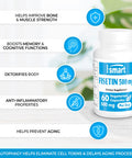 Supersmart Fisetin 500 mg Per Day Rhus Succedanea Extract Powerful 100 Natural Senolytic Supplement NonGMO Gluten Free 60 Vegetarian Capsules
