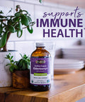 Flora SambuGuard Elderberry Immune Booster Echinacea No Added Sugar Gluten Free Liquid Daily Supplement Strengthen Immunity Detox Body Boost Energy 8.5oz. Powder