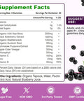 2 Pack Elderberry & Sea Moss Gummies, With Vitamin C, Bladderwrack, Burdock, Echinacea, Immune Support For Women, Men, Adults & Kids, Blueberry Flavor 120Ct