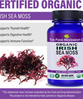 The Food Movement Irish Sea Moss Organic Prebiotic Food Sea Minerals Supports Healthy Detox Thyroid Digestion and Immune Support 60 Vegan Capsules Suitable for Vegetarian and Vegan Diets