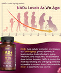 Nad Supplement 2464Mg, Liposomal Nad+ Supplement With Resveratrol, Nad Resveratrol Supplement - Boost Nad+ For Aging Defense, Energy, Focus - Ultra Antioxidant Capsules 166