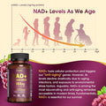 Nad Supplement 2464Mg, Liposomal Nad+ Supplement With Resveratrol, Nad Resveratrol Supplement - Boost Nad+ For Aging Defense, Energy, Focus - Ultra Antioxidant Capsules 166