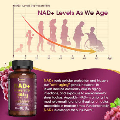 Nad Supplement 2464Mg, Liposomal Nad+ Supplement With Resveratrol, Nad Resveratrol Supplement - Boost Nad+ For Aging Defense, Energy, Focus - Ultra Antioxidant Capsules 166