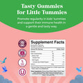 Natures Craft Sugar Fiber Gummies for Kids - Delicious Prebiotic Kids Fiber Gummies for Constipation Digestive Support & Immunity - Non-GMO Vegan Chicory Root Soluble Fiber Supplement for Kids Digestive Health