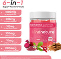 kindnature Kind Nature Berberine Gummies 1000mg with Ceylon Cinnamon & Resveratrol Sugar-Free Vegan Supplement for Blood Sugar Support Metabolism Cravings Wellness Non GMO Gluten Free