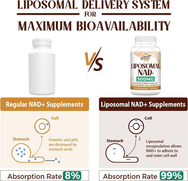 Liposomal Nad+ 500 Mg Supplement, True Nad Plus Supplement, Superior Absorption, Boost Nad+ More Efficient Than Nicotinamide Riboside For Cellular Energy, Healthy Aging, 240 Serving