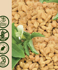 Nature'S Answer Fenugreek Seed with Organic Alcohol 1-Fluid Ounce | Female Reproductive Support | Aid for Mothers | Lactation Support | Natural Menopause Aid (Pack of 1)