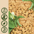 Nature'S Answer Fenugreek Seed with Organic Alcohol 1-Fluid Ounce | Female Reproductive Support | Aid for Mothers | Lactation Support | Natural Menopause Aid (Pack of 1)
