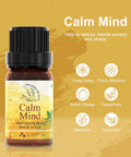 Asakuki Essential Oils Set, Aromatherapy Diffuser Oils Blends, 100% Natural Fragrance Essential Oils For Stress Relief, Sleep Better & Feel Good, The Little Box Of Cozy Set 3X10Ml