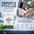 Bricker Labs Brain Aid Memory Matters