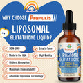 2000Mg Liposomal Glutathione Liquid, 98% Absorption, Glutathione Liquid Supplement, Active Form L- Glutathione, Powerful Antioxidant Non-Gmo For Immune System, Aging Defense, Detox, 2 Fl.Oz