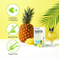 Teazen Kombucha Pineapple Flavor Variety Pack with Classic Eco Bottle (Kombucha Powder 40 Sticks Eco Bottle 1EA x 11.8oz)