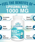 Liposomal Nad+ Supplement 1000 Mg | Highest Nad Pontecy | Max Absorption | Pure Nad Supplement | Energy And Dna Repair, Aging Defense, Brain Function | 60 Softgels