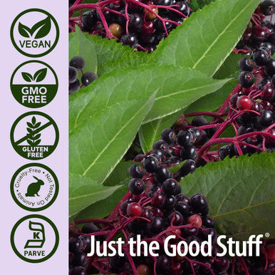 Nature'S Answer Sambucus Elderberry Syrup 16 Ounce | Great Tasting Immune Support Supplement | Antioxidant Vegan Gluten Made in USA | Single Count