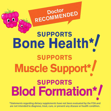 Kid'S Calcium, Magnesium, Zinc + Vitamin D3 Gummies By Wellyeah Bone, Muscle And Nerve Health Support, Immune Support For Men And Women Gluten Free, Non Gmo Raspberry Flavor 60 Count