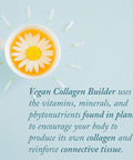 Purity Products Vegan Collagen Builder Organic Whole Foods Fruits Veg Silica Lutein Vitamin C Biotin Grape Seed Amino Acids Glycine Lysine Proline Collagen Boosters Once A Day 30 Tablets