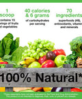 Greens First Chocolate Superfoods Extracts Concentrates Nutrient Rich Antioxidant Power of 15 Servings of Fruits 14.37 Ounce 30 Servings