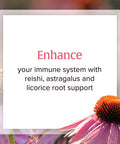Natural Factors AntiV Liquid Formula Echinacea Supplement for Immune and Wellness Support Organic NonGMO 1.7 oz 50 servings