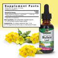 Nature'S Answer Mullein Leaf with Organic Alcohol 1-Fluid Ounce | Extract for Lungs | Respiratory Support