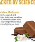 Force Factor Modern Mushrooms Soft Chews Lion s Mane Supplement to Support Memory Mental Focus and Mood Lions Mane Powder Antioxidants Supplement Delicious Vanilla Bean Flavor 30 Soft Chews