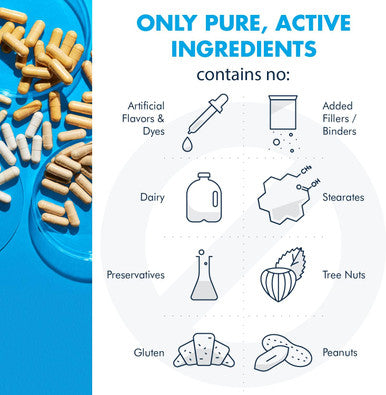 Metabolic Maintenance Vitamin Mineral Base Powder - Iron Multivitamin With Active B Vitamins + Chelated Minerals (312 Grams, 60 Servings)