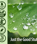 Nature's Answer Ginkgo Leaf Extract 1 oz