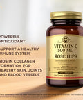 Solgar Vitamin C 500 Mg With Rose Hips - 100 Tablets - Antioxidant & Immune Support - Non-Gmo Vegan Gluten Free Dairy Free Kosher - 100 Servings