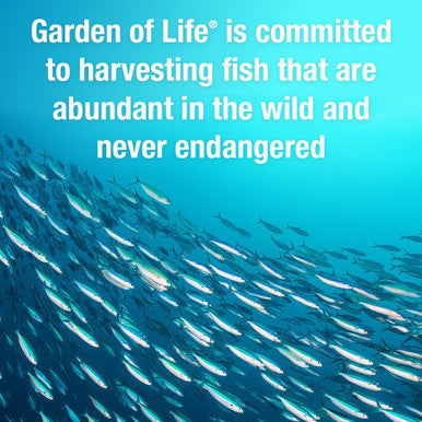 Garden of Life Ultra Pure Epa/Dha Omega 3 Fish Oil - Oceans 3 Beyond Omega 3 Supplement With Antioxidants 60 Softgels