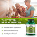 Swanson Turkey Tail Mushroom - Herbal Supplement - Natural Formula - (120 Capsules 500 mg)