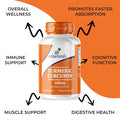Aitnaturals Turmeric Curcumin - 1510 mg (90 Capsules)| 95% Curcuminoids with Black Pepper Extract| Advanced Absorption for Cardiovascular Health and Joint & Muscle Support | Digestive and Antioxidant