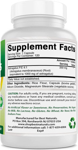Best Naturals Astragalus Extract 1000 Mg Capsules (120 Count (Pack of 3))