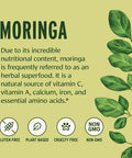 Banyan Botanicals Moringa Leaf Powder - Usda Certified Organic - Moringa Oleifera - Sun Dried - Raw Herbal Superfood - Natural Energy Boost For Optimal Wellness *