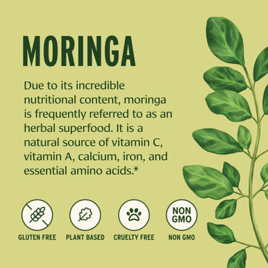 Banyan Botanicals Moringa Leaf Powder - Usda Certified Organic - Moringa Oleifera - Sun Dried - Raw Herbal Superfood - Natural Energy Boost For Optimal Wellness *