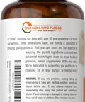 Carlyle Lions Mane Supplement Capsules 4200 mg | 150 Count | Vegetarian Non-GMO Gluten | Wiseshrooms