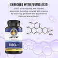 Tudca 500Mg, 60 Capsules (Tauroursodeoxycholic Acid)- Bile Salts Liver Support Supplement, Natural Bitter Taste- Vegan Friendly, Non Gmo, Gluten Capsules By Ancient Bliss