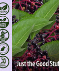 Nature'S Answer Sambucus Syrup Elderberry Kids Formula 8 Ounce | Natural Immune Booster | Taste That Kids Love | Flu Season Support | Packed with Antioxidants