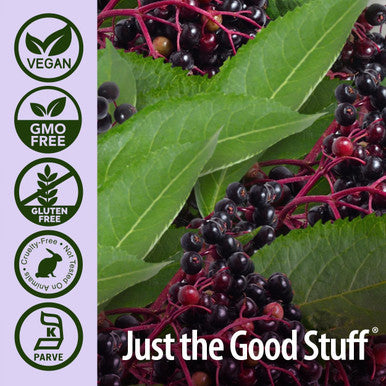 Nature'S Answer Sambucus Syrup Elderberry Kids Formula 8 Ounce | Natural Immune Booster | Taste That Kids Love | Flu Season Support | Packed with Antioxidants