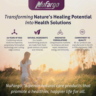 Berrymune Triple-Action Immune, Antioxidant & Energy Booster Elderberry, Vitamin C, B-Complex And Zinc All-Season Wellness Supplement For Men And Women 60 Capsules