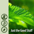 Nature'S Answer Nettle Leaf with Organic Alcohol 2-Fluid Ounces | Herbal Supplement | Promotes Immune Heath | Non-GMO Kosher Gluten-