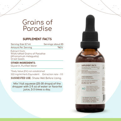Grains Of Paradise B60 Alcohol-Free Herbal Extract Tincture, Grains Of Paradise (Aframomum Melegueta) Dried Seeds (2 Fl Oz)