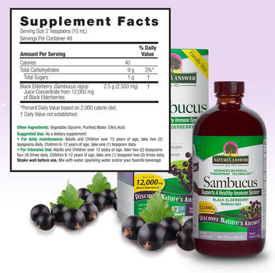 Nature'S Answer Sambucus Elderberry Syrup 16 Ounce | Great Tasting Immune Support Supplement | Antioxidant Vegan Gluten Made in USA | Single Count