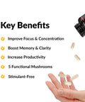 Forebrain Focus Brain Booster, Brain Supplement to Boost Clarity & Concentration, for Memory & Sharpness & Increase Productivity, Nootropic Brain Support Supplement, 60 Capsules, Black (FFS-00923-FG)