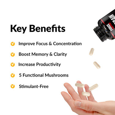 Forebrain Focus Brain Booster, Brain Supplement to Boost Clarity & Concentration, for Memory & Sharpness & Increase Productivity, Nootropic Brain Support Supplement, 60 Capsules, Black (FFS-00923-FG)