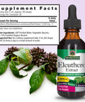 Nature'S Answer Eleuthero Root with Organic Alcohol 2000mg 2oz Extract | Promotes Mental Clarity | Natural Energy Support | Metabolic Increase | Gluten- Non-GMO Vegan | Single Count