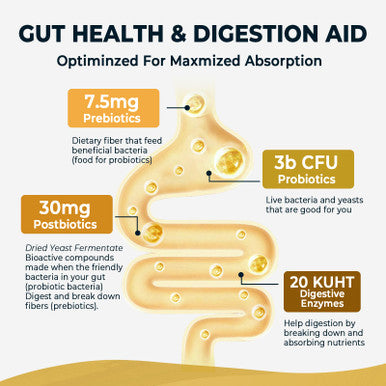 4-in-1 Prebiotic Probiotic & Postbiotic for Women & Men Complete Gut & Digestive Support Supplement Pre Post Probiotics & Digestive Enzymes 60 Capsules,Made in USA