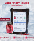 Weightworld Antarctic Krill Oil Capsules High Strength - 3 Months Supply - 180 Red Krill Oil Softgels - Omega 3 Fatty Acids Supplements - EPA DHA Astaxanthin & Choline - Omega 3 Fish Oil Alternatives