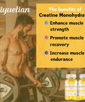 Creatine Monohydrate With Vitamins D3 & B12 Sugar-Hydrolyzed Collagen & Creatine Gummies Formulated To Enhance Muscle Strength Workout Supplement Suitable For Men & Women 60 Count