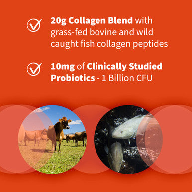 Garden of Life Marine & Grass-Fed Collagen Peptides Powder Supplement (Type I Iii) With Probiotics & Bcaas For Mobility Joint Health Hair Skin & Nails - Unflavored 20G Per Serving 12 Servings