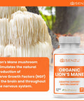 Organic Lions Mane Mushroom Capsules - Nootropic Brain Supplement for Strong Cognitive Support, Intense Focus, Memory Booster for Mental Clarity - Lions Mane Mushroom Supplement - Lion's Mane 90 Count